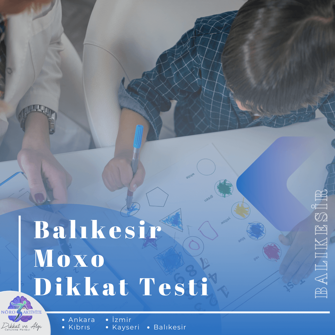 Balıkesir Moxo Dikkat Testi